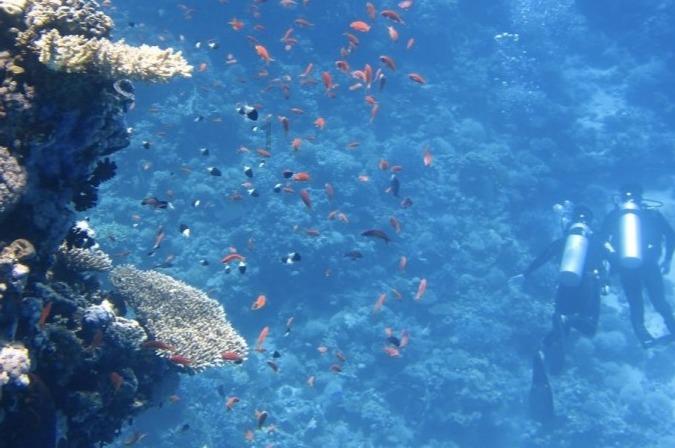 关联词算不算深、浅、粗、细吗?游戏画面